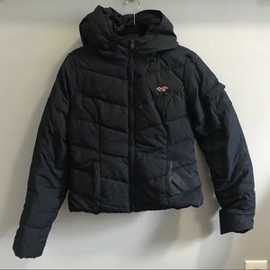 Hollister Down Jacket